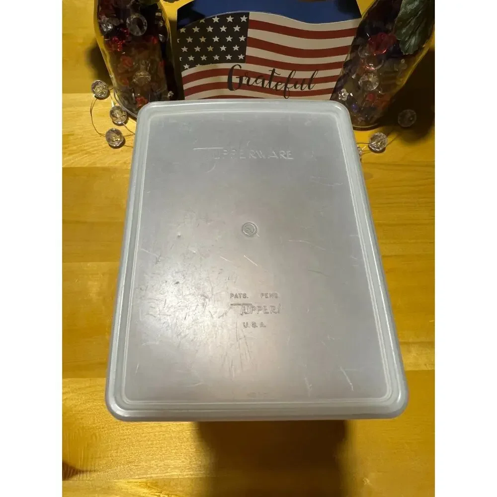 Tupperware Ice Cream Keeper